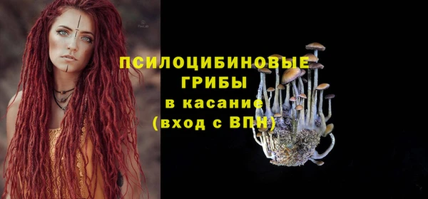 индика Приозерск
