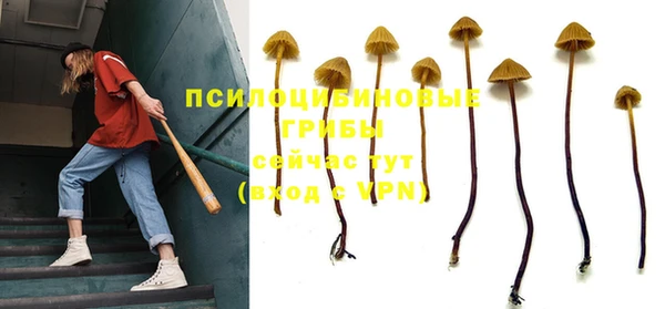 соль курить ск Алексеевка