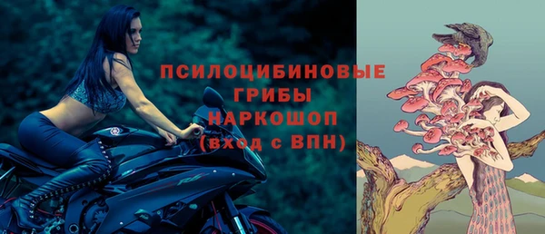 мяу мяу мука Абаза